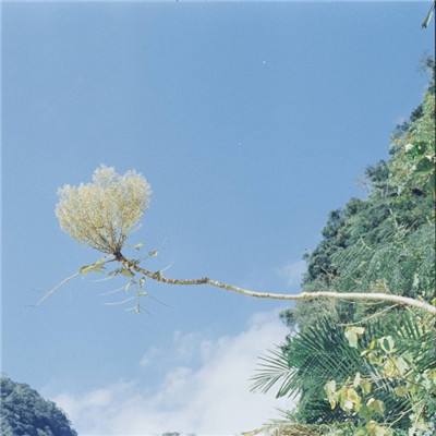 全民萌将传手游下载