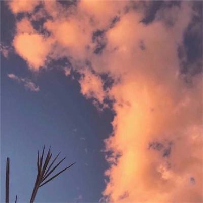 果盘美职篮英雄手游下载